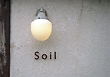 Soil店内